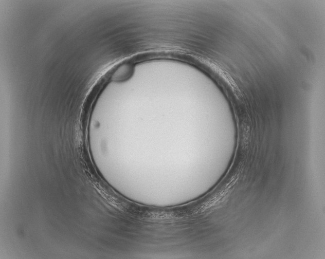 X0000115630927200912011437