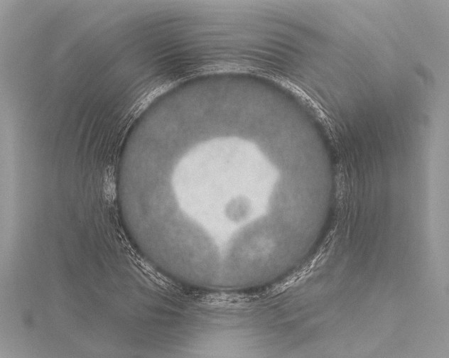 X0000115630929200912011437