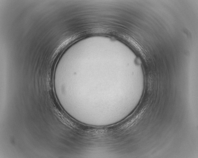 X0000115630930200912011437