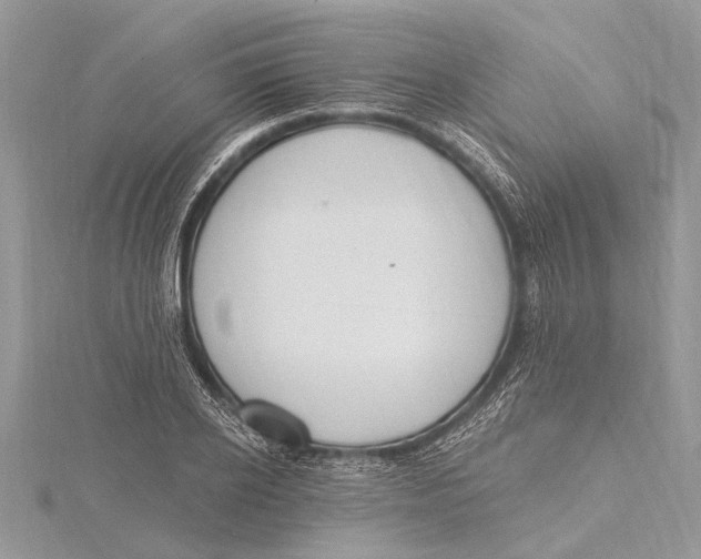 X0000115630934200912011437