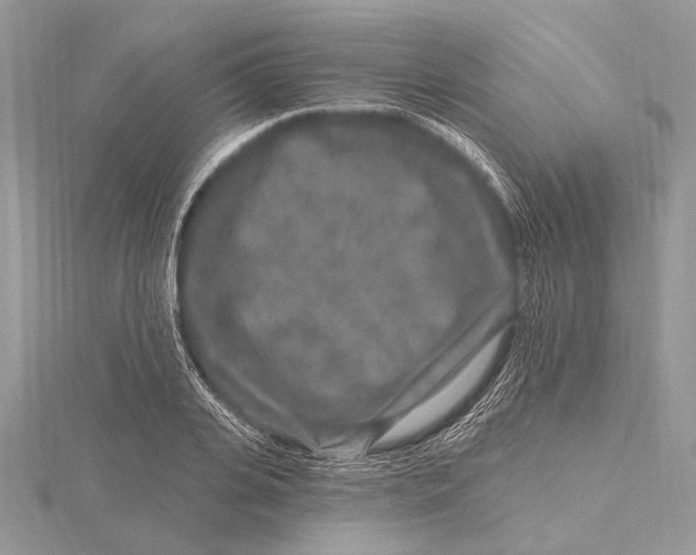 X0000115630935200912011437