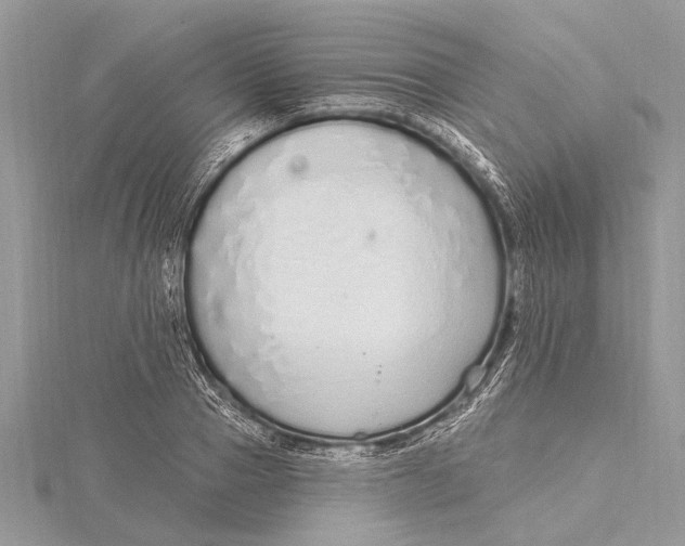 X0000115630937200912011437