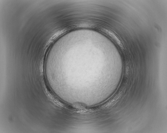 X0000115630938200912011437