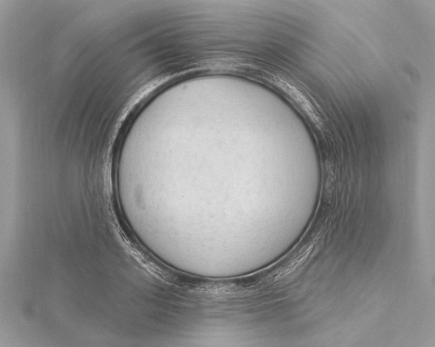 X0000115630939200912011437