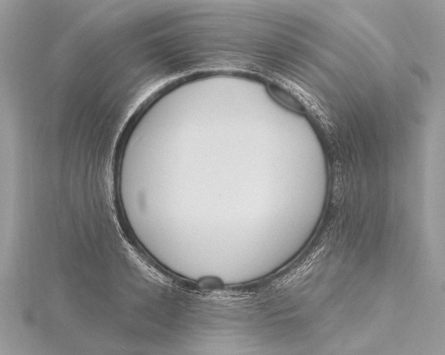 X0000115630942200912011437