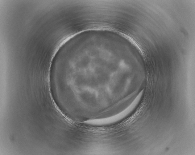 X0000115630943200912011437