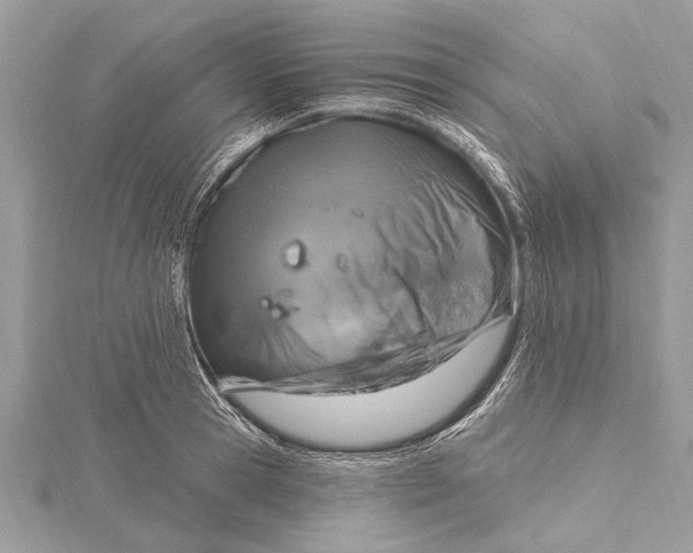 X0000115630945200912011437