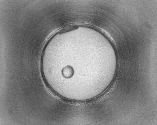 X0000115630946200912011438