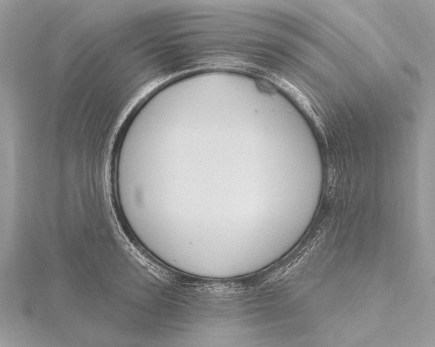 X0000115630947200912011438