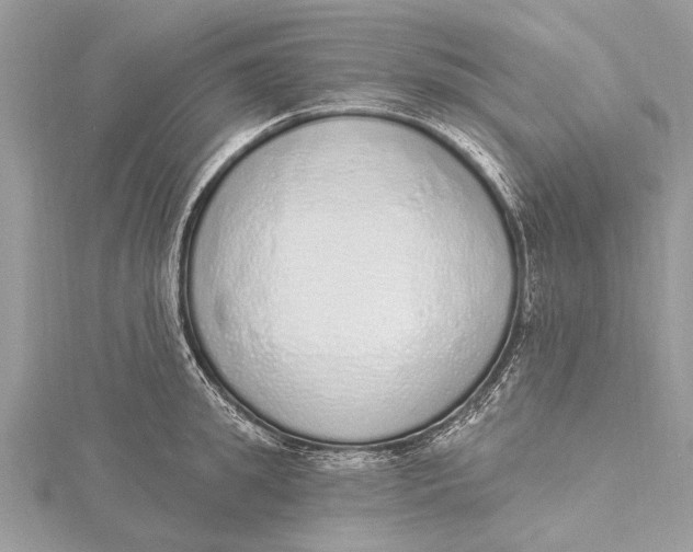 X0000115630949200912011438