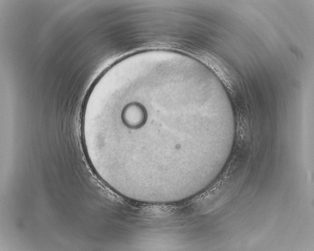 X0000115630950200912011438