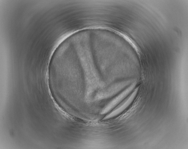 X0000115630951200912011438