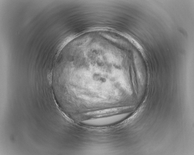 X0000115630953200912011438