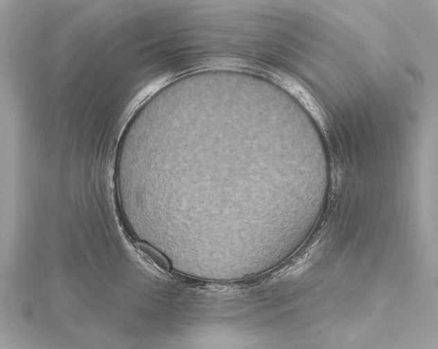 X0000115630954200912011438