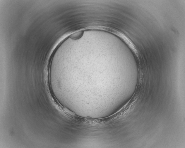 X0000115630955200912011438