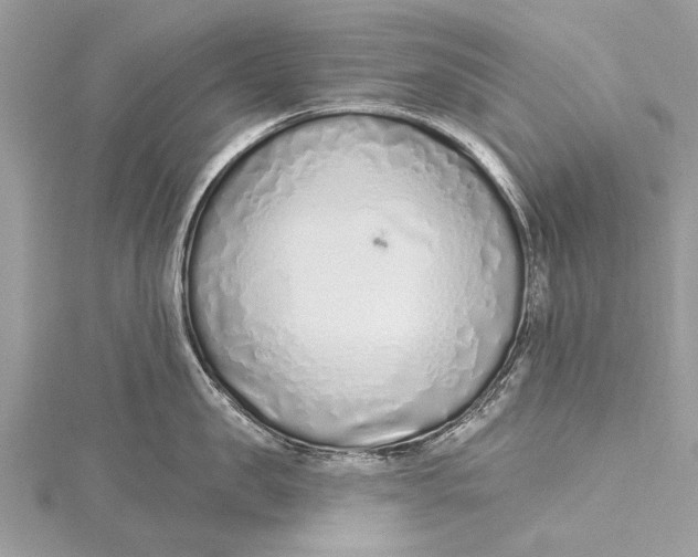 X0000115630957200912011438