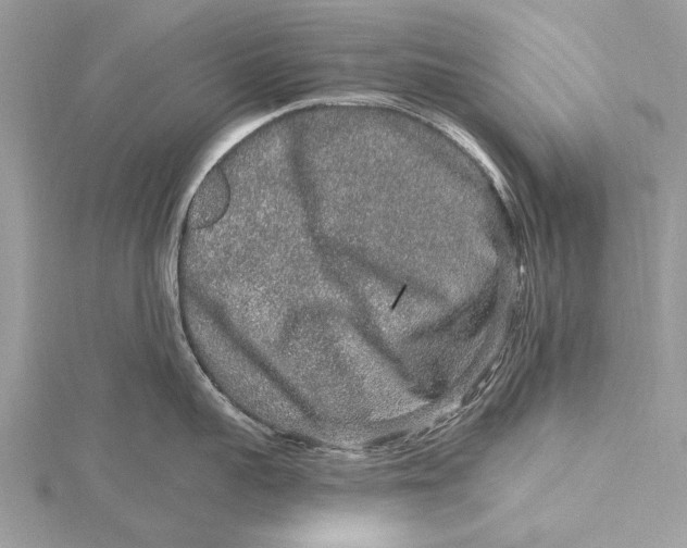 X0000115630959200912011438