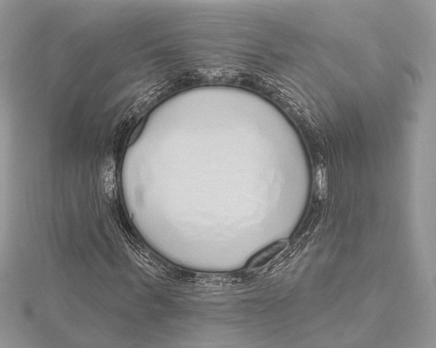 X0000115630963200912011437