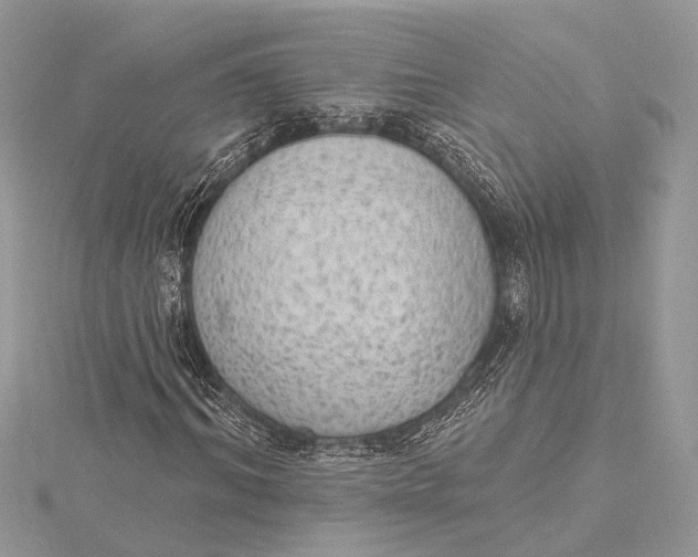 X0000115630964200912011437