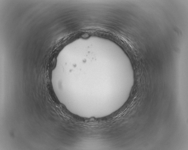 X0000115630965200912011437