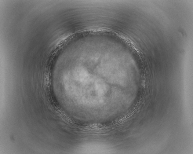 X0000115630966200912011437