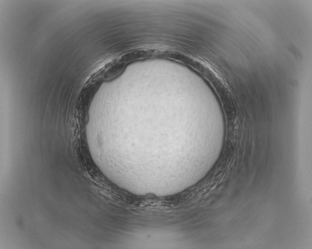 X0000115630967200912011437