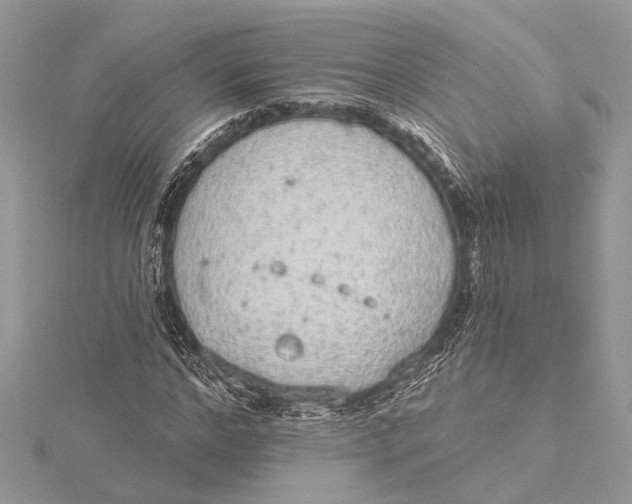 X0000115630968200912011437