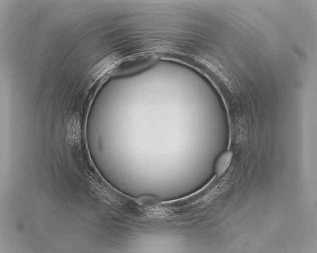 X0000115630969200912011437