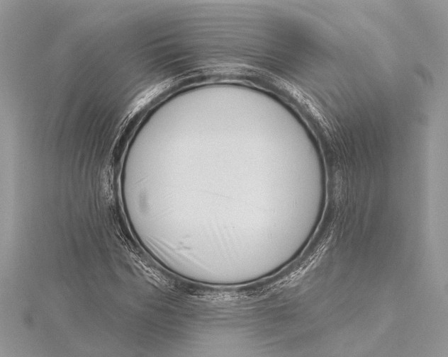 X0000115630970200912011437