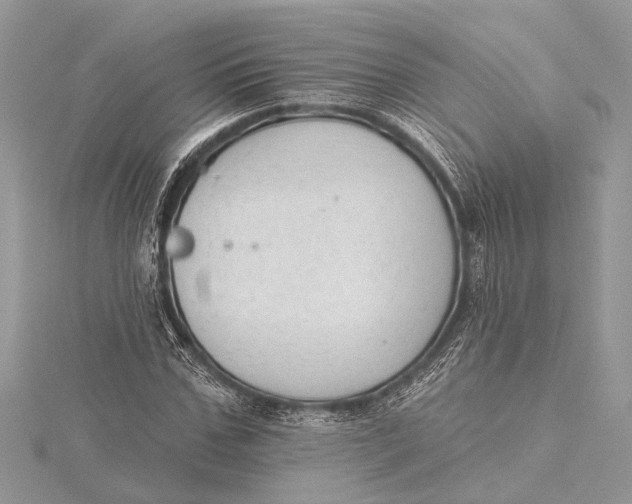 X0000115630971200912011437