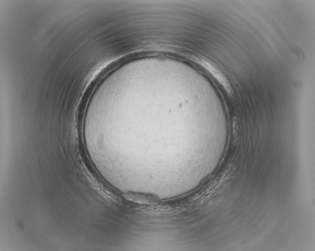 X0000115630972200912011437