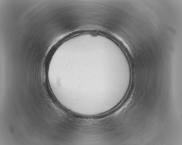 X0000115630973200912011437