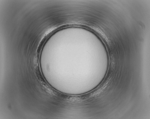 X0000115630974200912011437