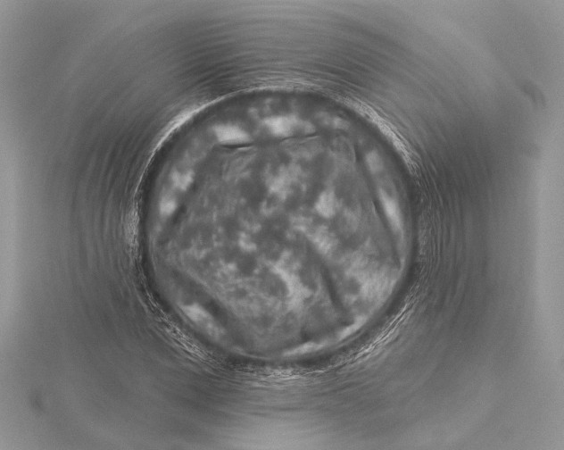 X0000115630975200912011437