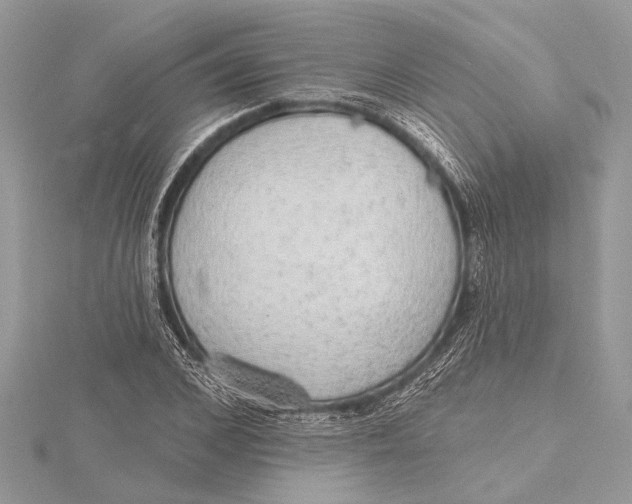 X0000115630976200912011437