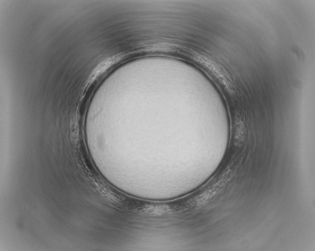 X0000115630978200912011437