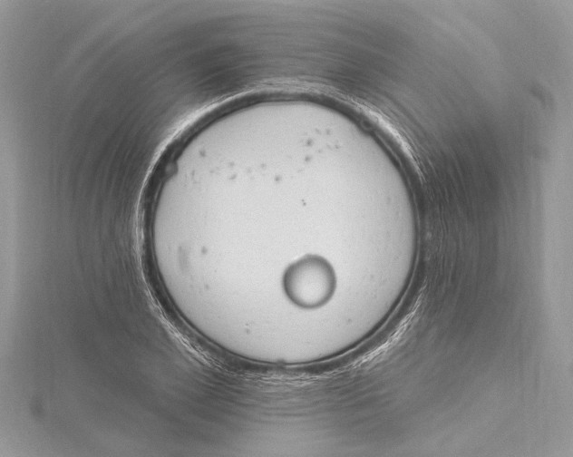 X0000115630981200912011437