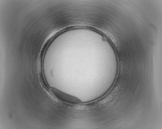 X0000115630982200912011437