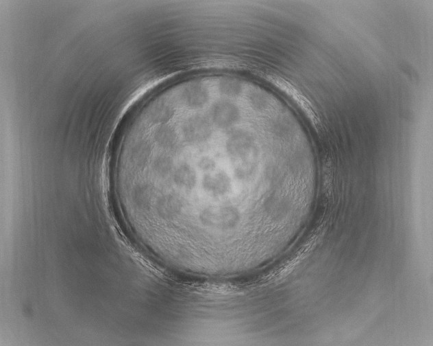 X0000115630983200912011437