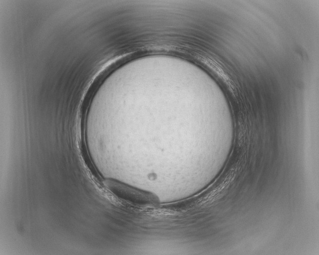 X0000115630984200912011437