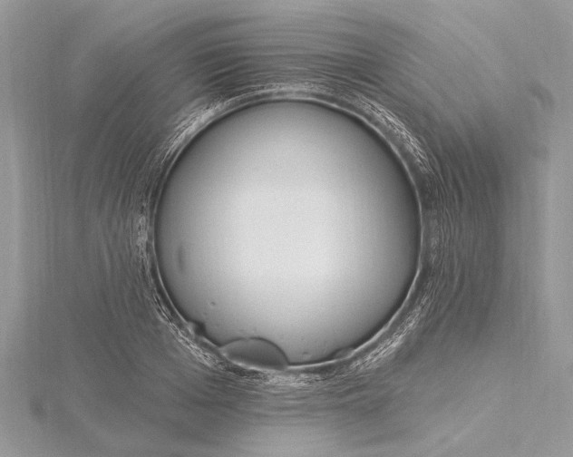 X0000115630985200912011437