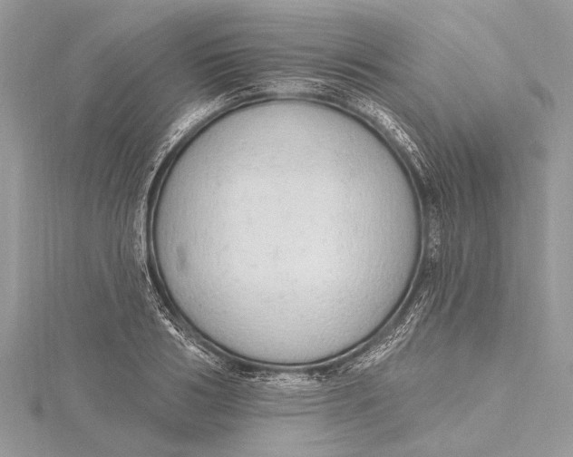 X0000115630986200912011437