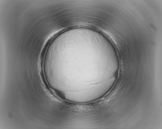 X0000115630987200912011437