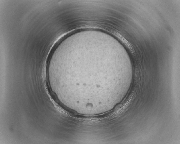 X0000115630988200912011437