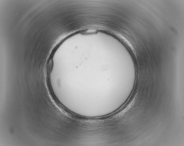 X0000115630989200912011437