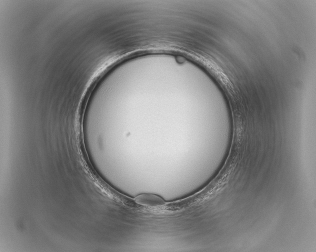 X0000115630990200912011437