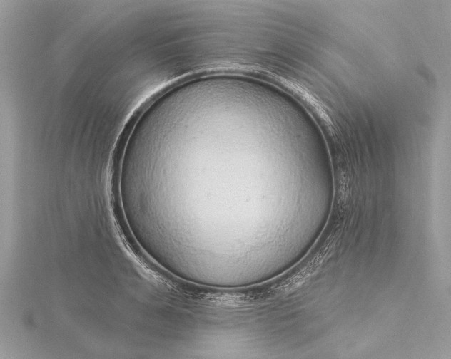 X0000115630991200912011437