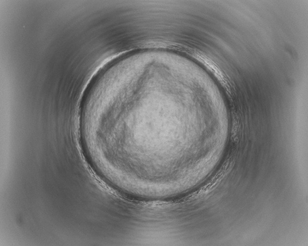 X0000115630992200912011437