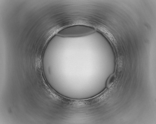 X0000115630993200912011437