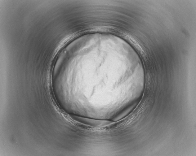 X0000115630994200912011437